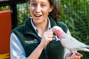 Taronga Zoo
